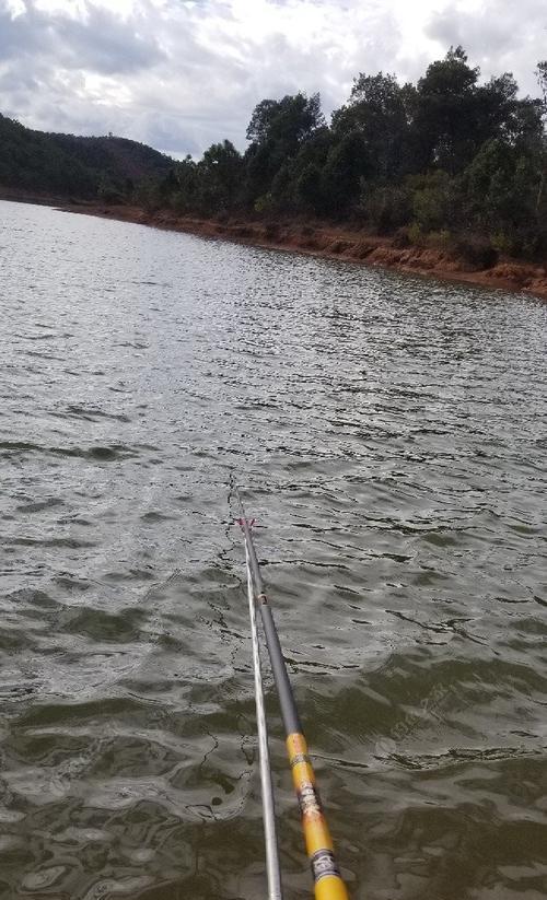 海边钓鱼上钩技巧教程？如何提高钓鱼成功率？