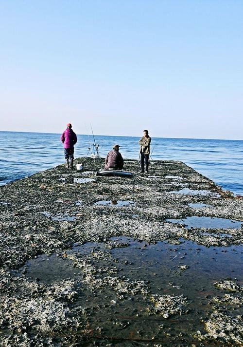 海边钓鱼选线技巧有哪些？如何根据环境选择合适的钓线？