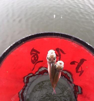 海边短杆钓鱼技巧有哪些？如何提高钓鱼成功率？