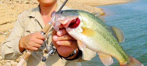 海边浮漂钓鱼方法与技巧有哪些？如何提高钓鱼效率？