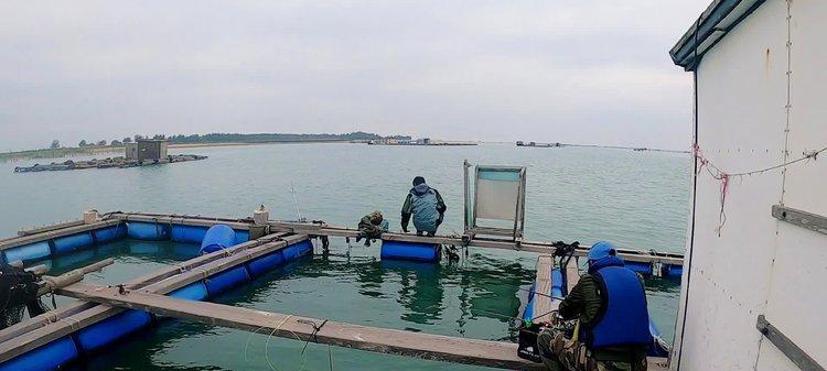 海边港口钓鱼技巧有哪些？如何提高钓鱼成功率？