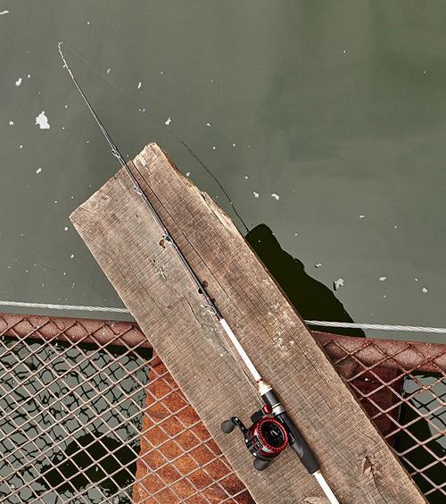 海边海竿钓鱼方法与技巧教程？如何提高钓鱼成功率？