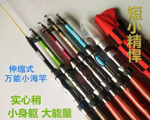 海边海竿钓鱼方法与技巧教程？如何提高钓鱼成功率？