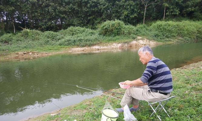 海边河沟钓鱼技巧教程？如何提高钓鱼成功率？