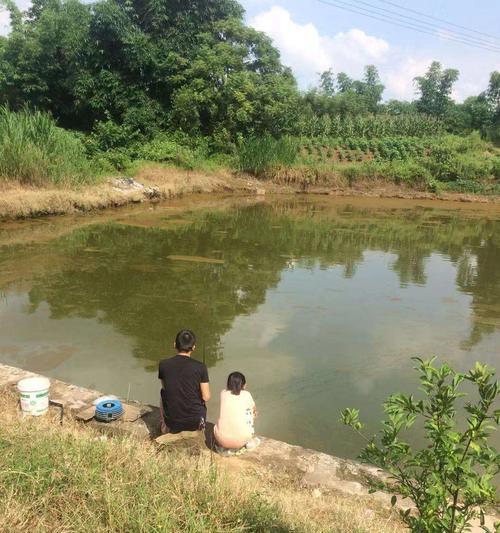 海边河沟钓鱼技巧教程？如何提高钓鱼成功率？