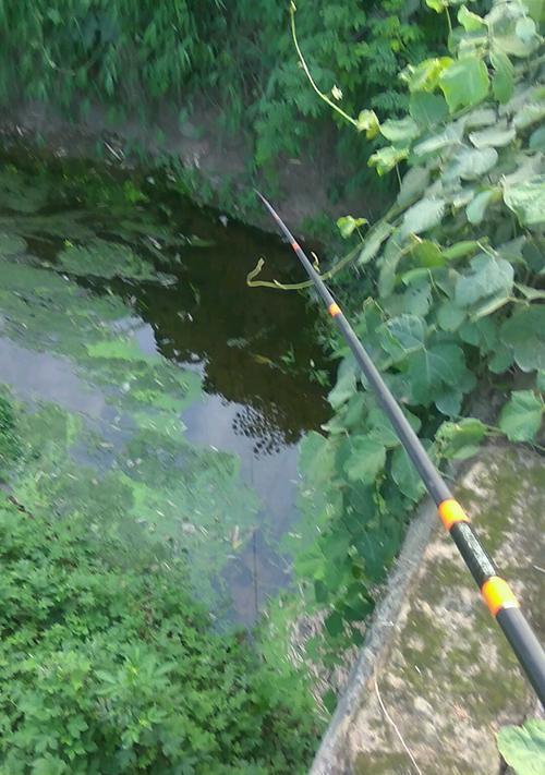 海边桥洞钓鱼技巧教学？如何提高钓鱼成功率？