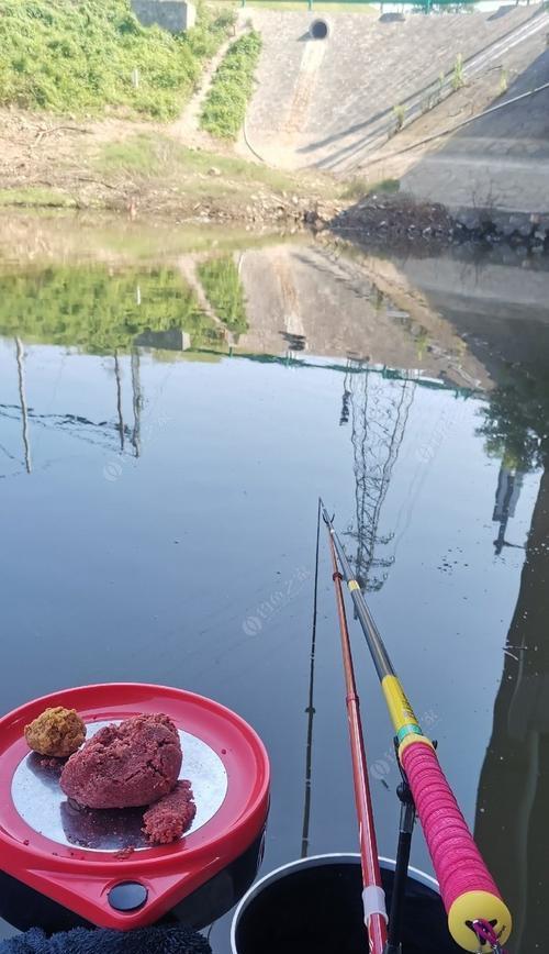 海边桥洞钓鱼技巧教学？如何提高钓鱼成功率？