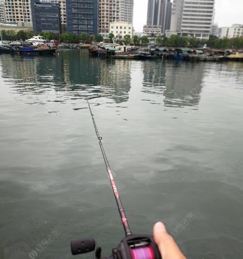 海边沙虫钓鱼技巧教程？如何提高钓鱼成功率？