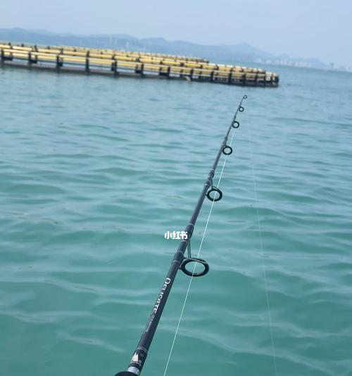 海边沙滩钓鱼技巧教程？如何在沙滩上成功钓到鱼？