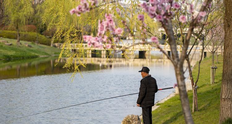 海边沙滩钓鱼收竿技巧是什么？如何正确收竿以保护装备？