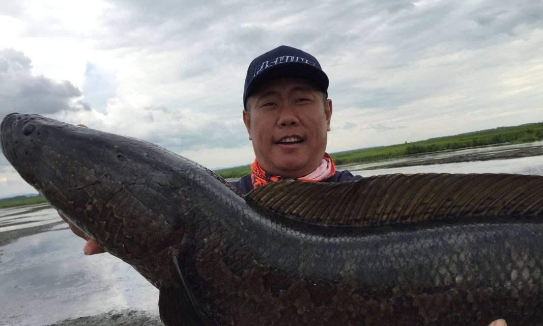 海边夜钓黑鱼技巧教程？如何提高夜钓黑鱼的成功率？