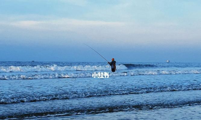 海边自然钓鱼技巧有哪些？如何提高钓鱼成功率？