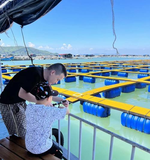海岛钓鱼的方法和技巧有哪些？如何提高钓鱼成功率？